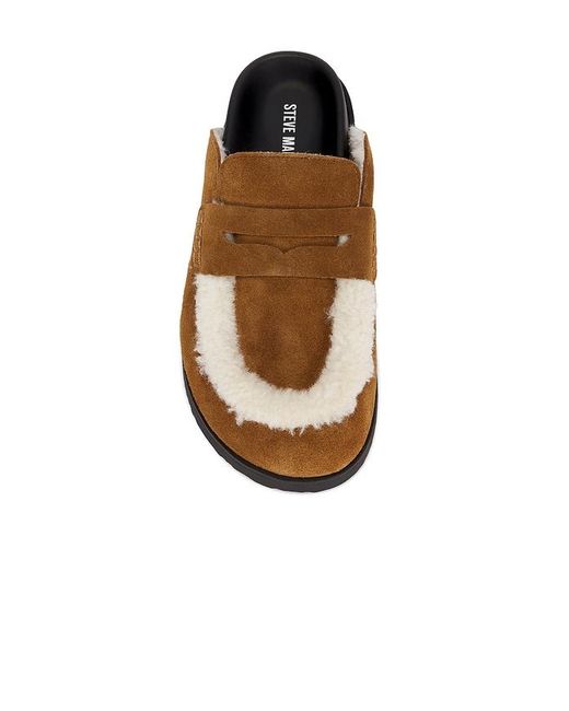 Steve Madden Brown Clogs Tomlin