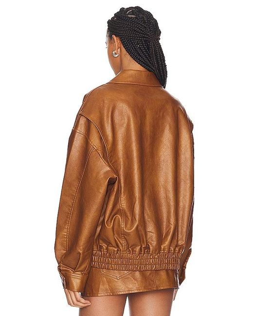Lioness Brown Kenny Bomber