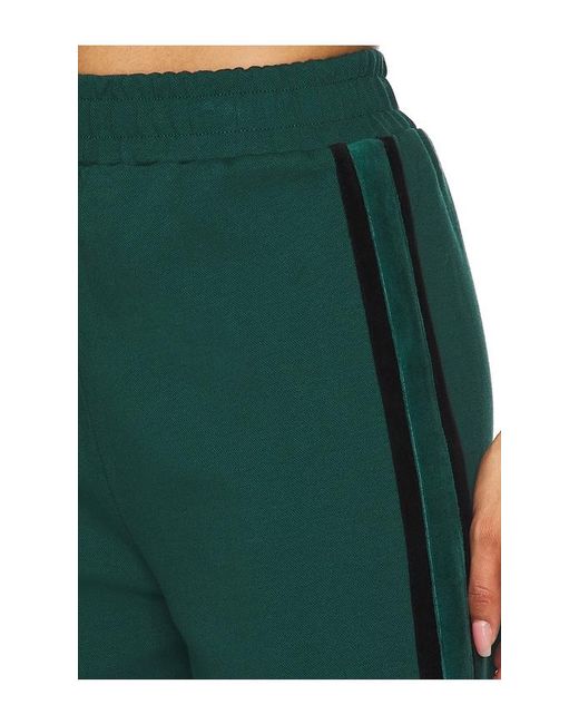 Araminta James Green Cloe Knit Pant