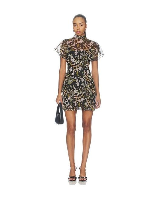 AMUR Multicolor Evelyn Layered Dress