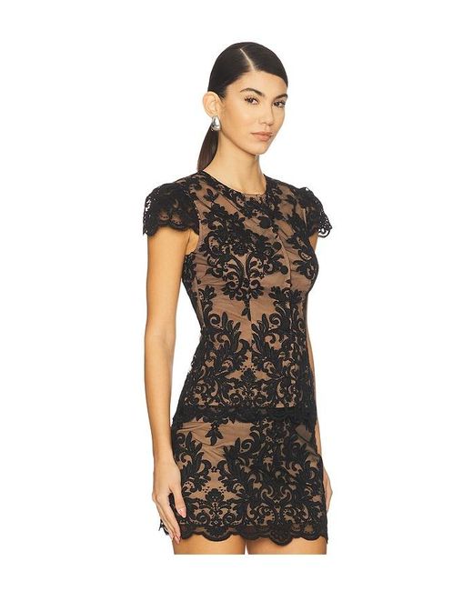 Stone Cold Fox Black Oberteil Parker