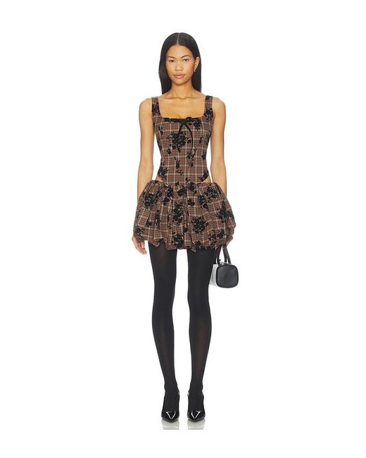 ZEMETA Multicolor Classy Corset Top