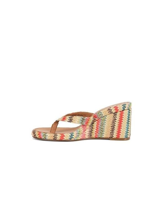 Steve Madden Multicolor Playing Sandal