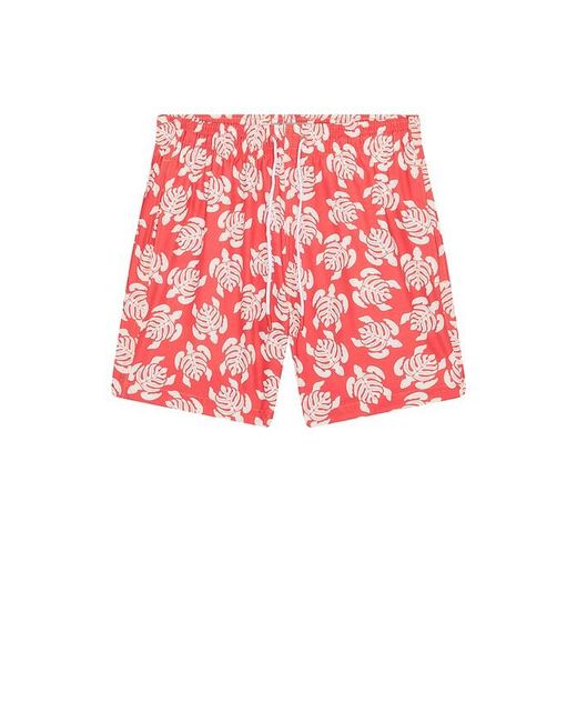 Trunks Surf & Swim Red Sano 6.5 Swim Short for men