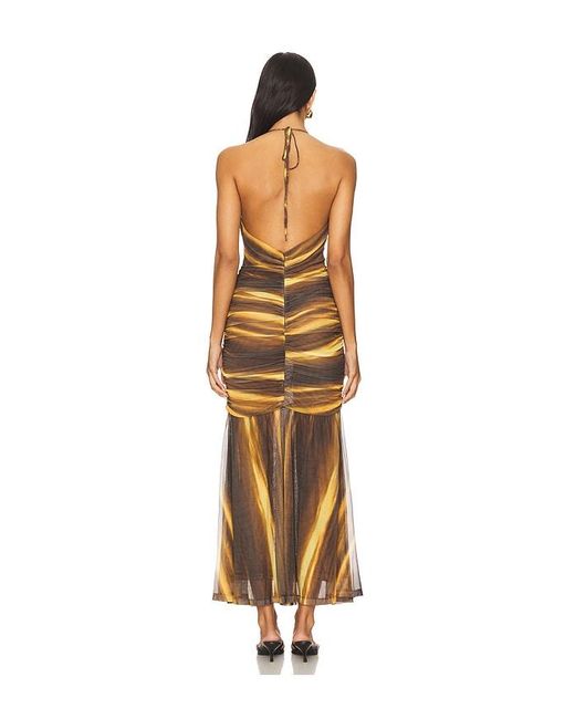 Bardot Multicolor Aries Mesh Maxi Dress