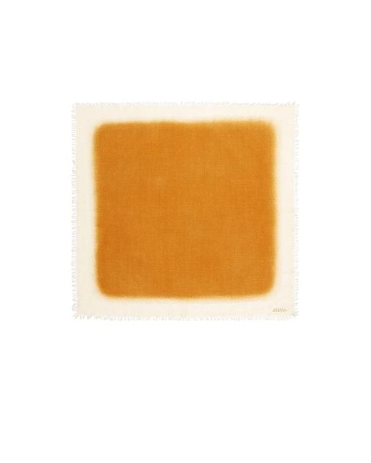 Isabel Marant Multicolor Alecia Scarf