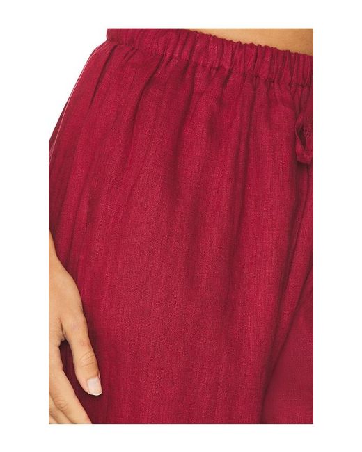 PANTALON en Burgundy AEXAE en coloris Red