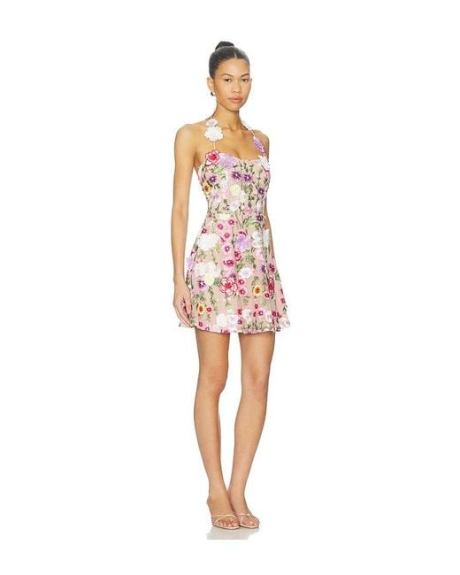 Elliatt Multicolor Neve A Line Mini Dress