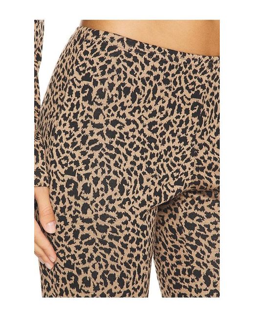 Lioness Multicolor X Revolve Capri