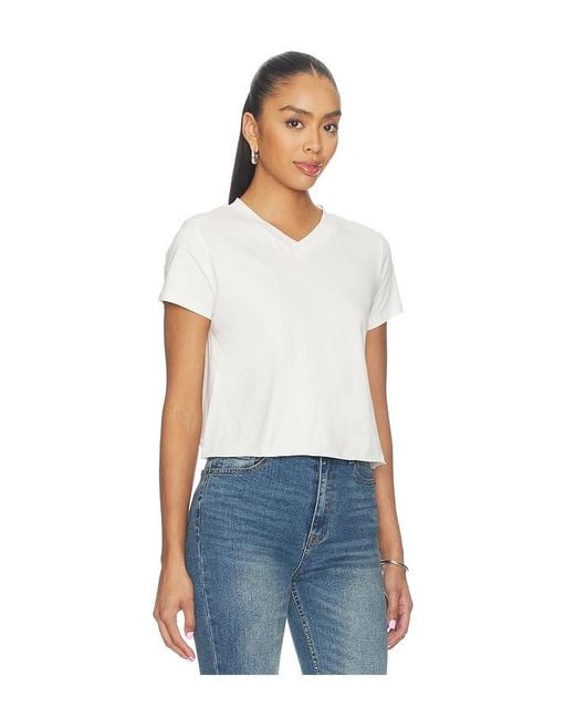 Lioness Blue North Light Tee