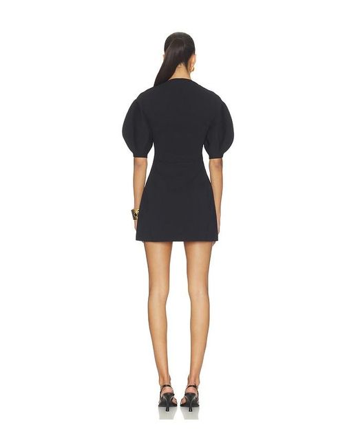 Cult Gaia Black Iva Dress