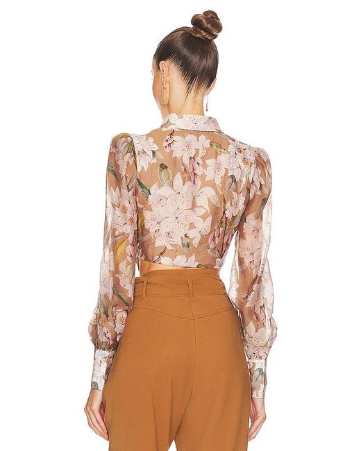 Bardot Brown Valentina Corset Top