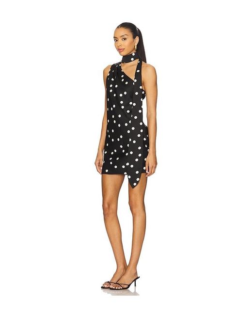 Line & Dot Black Gloss Scarf Mini Dress