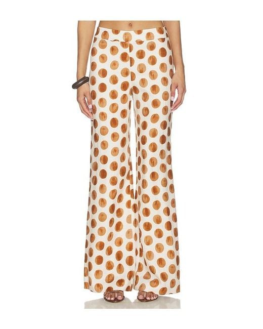 Cara Cara Multicolor Sunflower Pant