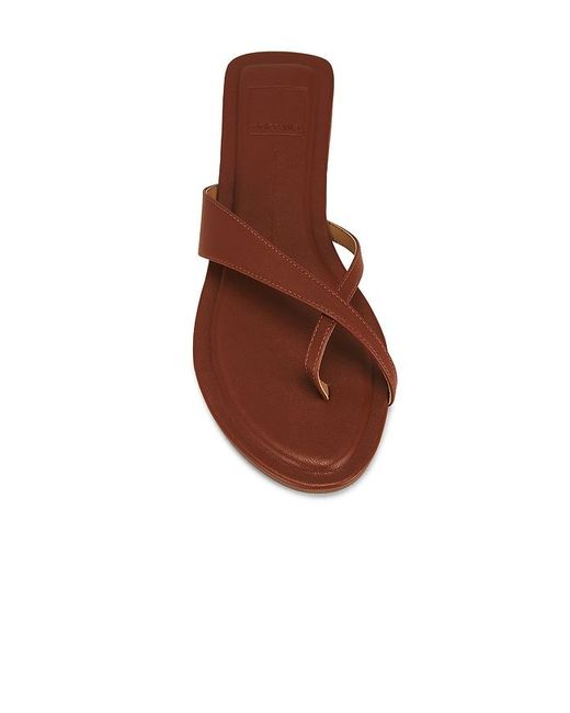 Dolce Vita Brown Lenex Thong Sandal