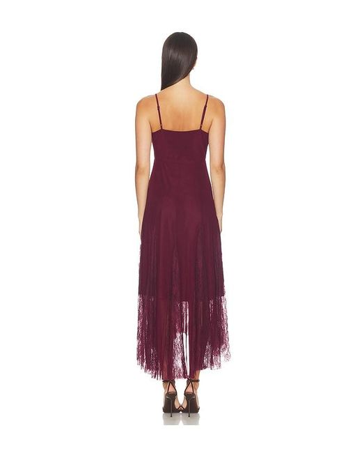 Steve Madden Purple Vita Dress
