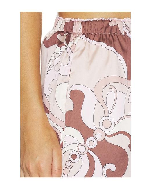 Cin Cin Multicolor Chance Pants