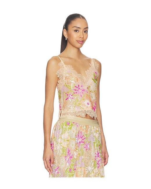 Le Superbe Multicolor Flori Culture Cami