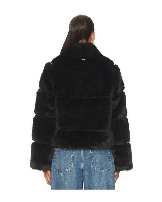 Apparis Blue Sai Sable Coat