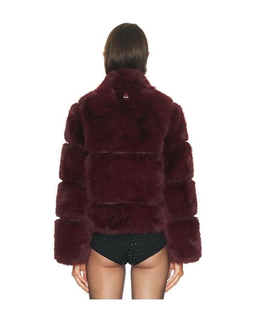 Apparis Red Sai Sable Coat
