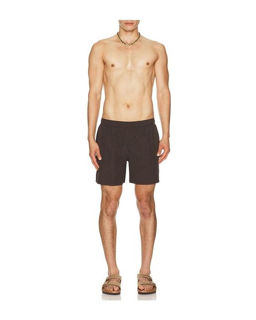 AUTO-REPLY Black 5.5 Solid Sebastian Swim Trunk for men
