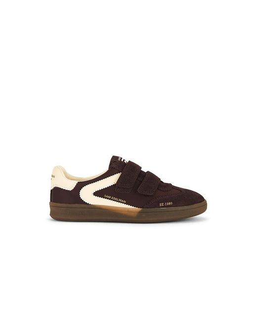 Sam Edelman Brown Talia Sneaker