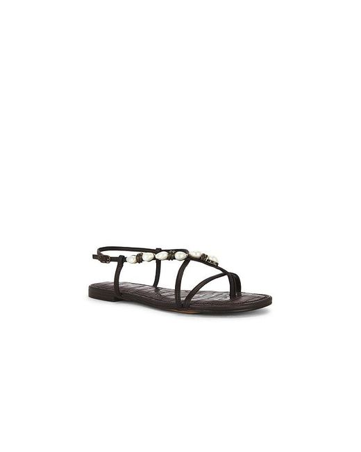 Sam Edelman Black Calla 2 Sandal