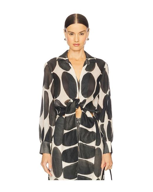 Alexis Black Oberteil Desai