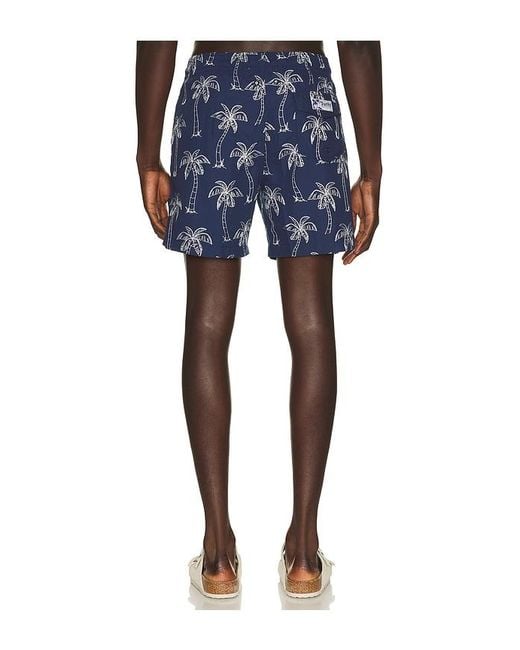 Trunks Surf & Swim Blue Sano 6.5 Swim Short for men