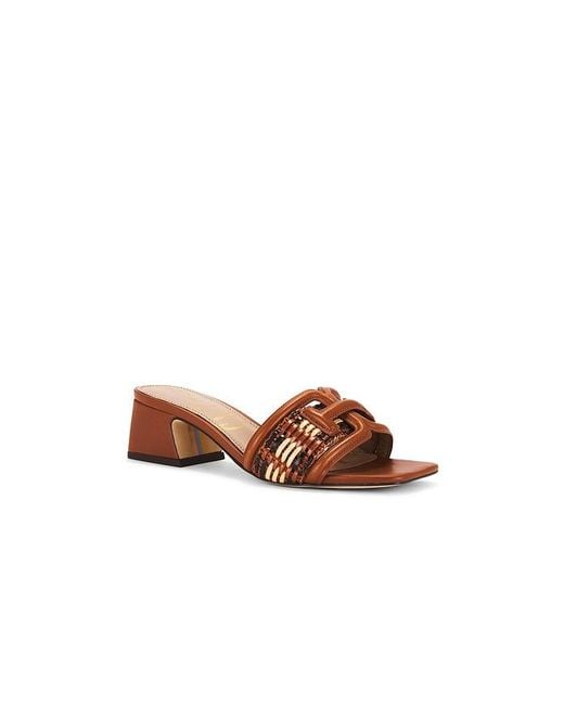 Sam Edelman Brown Waylon Sandal