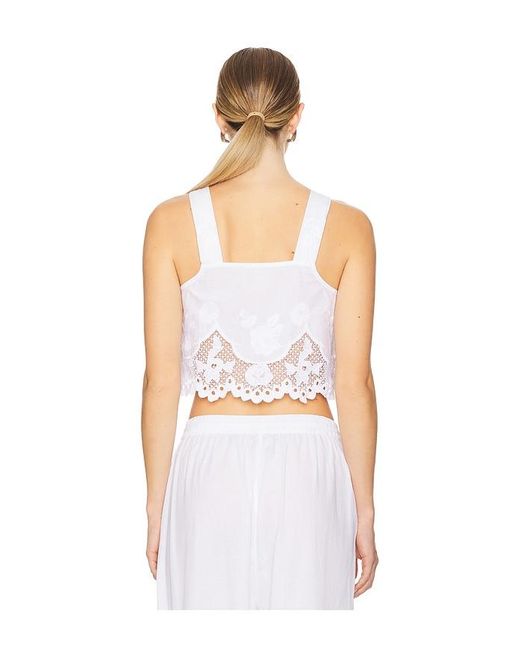 Vitamin A White Flora Tank