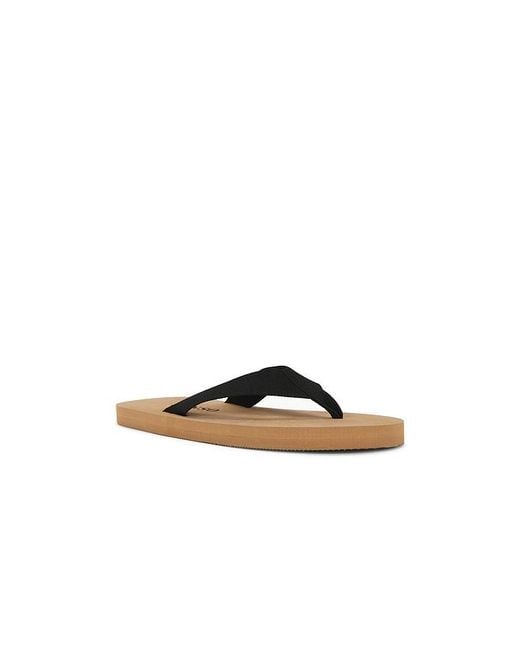 Senso Multicolor Kenny Flip Flop