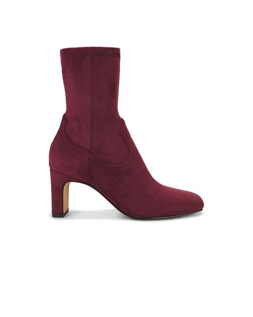 Dolce Vita Purple Boot Roan