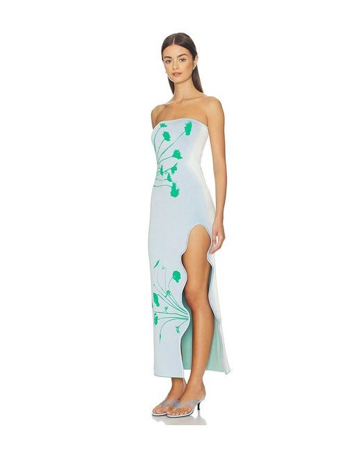 Ph5 Blue Iris Flower Print Maxi Tank Dress