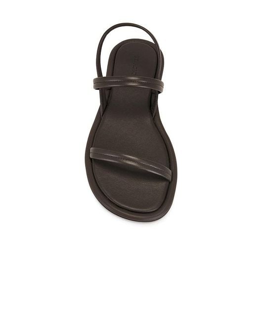 St. Agni Black Fine Strap Sandal