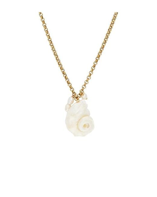 Lovers + Friends Multicolor Drew Shell Necklace