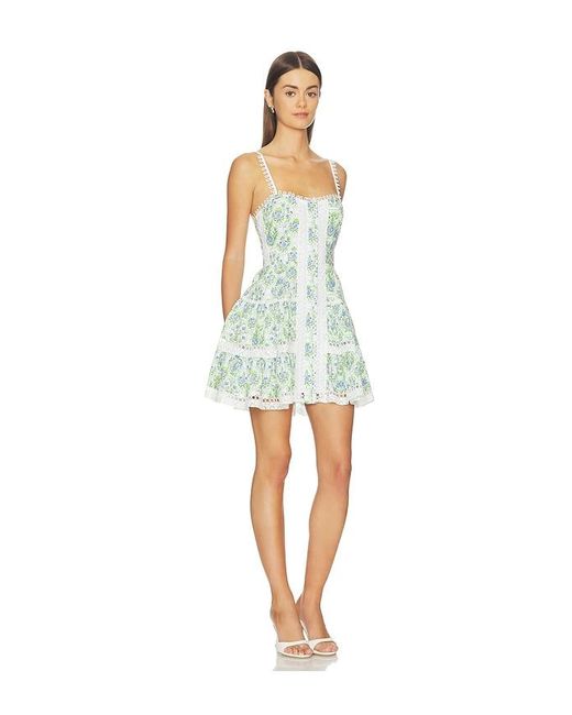 Astr Multicolor Skye Dress