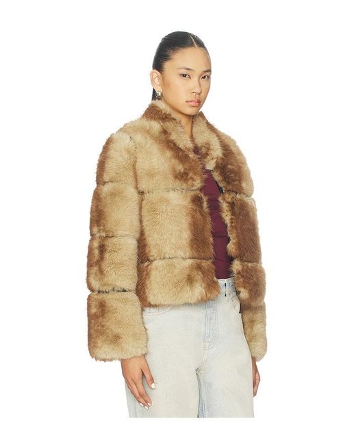 Apparis Brown Sai Mink Coat