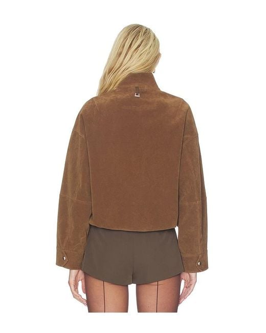 Apparis Brown Kate Sans Suede Bomber Jacket