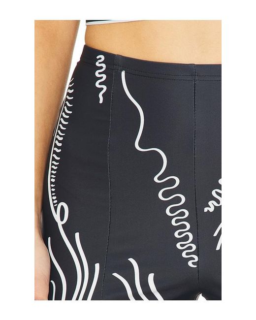 DI PETSA Blue Venus Shell Lycra Trousers