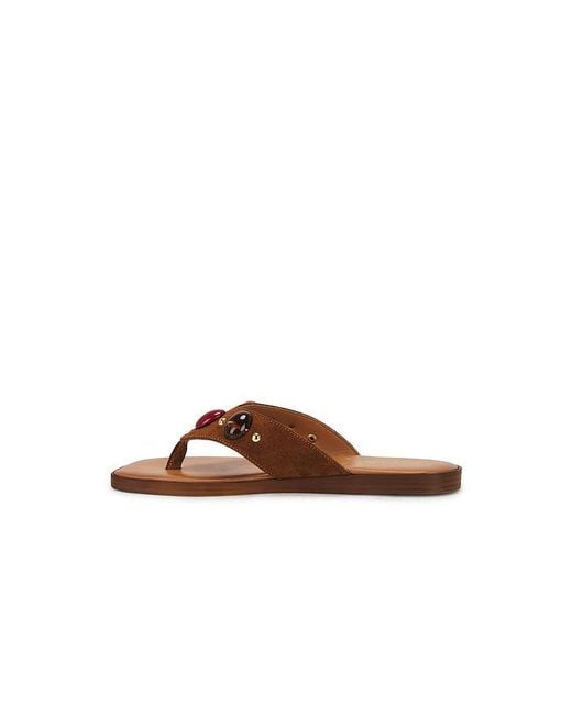 Seychelles Brown Top Of The World Sandal