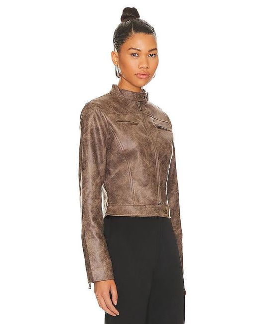 Lioness Black Bella Moto Jacket