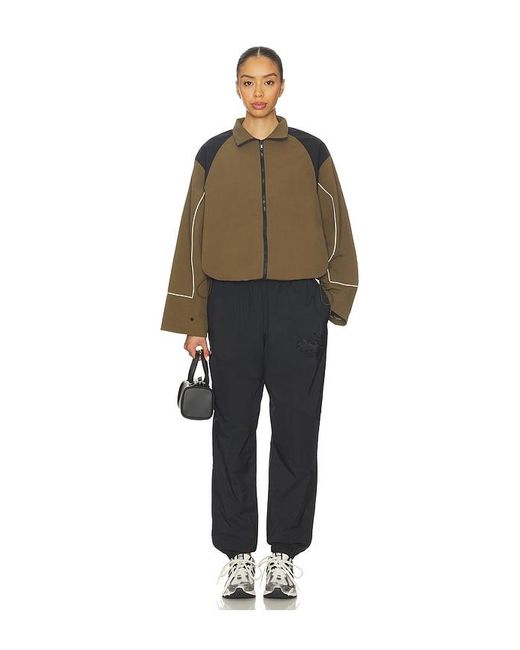 Lioness Brown Shoreline Windbreaker