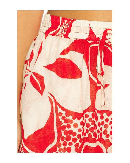 LSPACE Red Rio Short