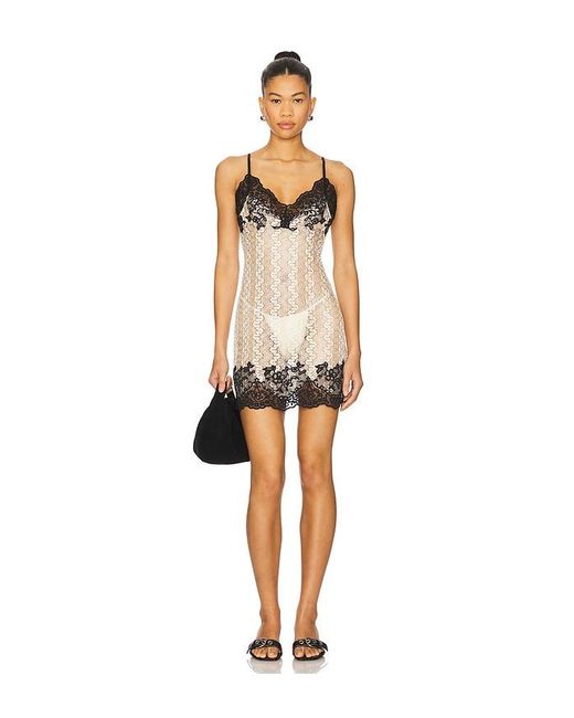 Leslie Amon Camille ドレス White
