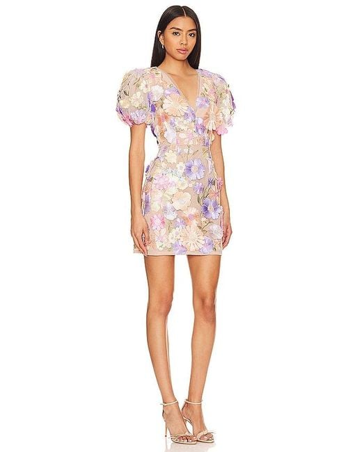 Elliatt Multicolor Anthea Dress