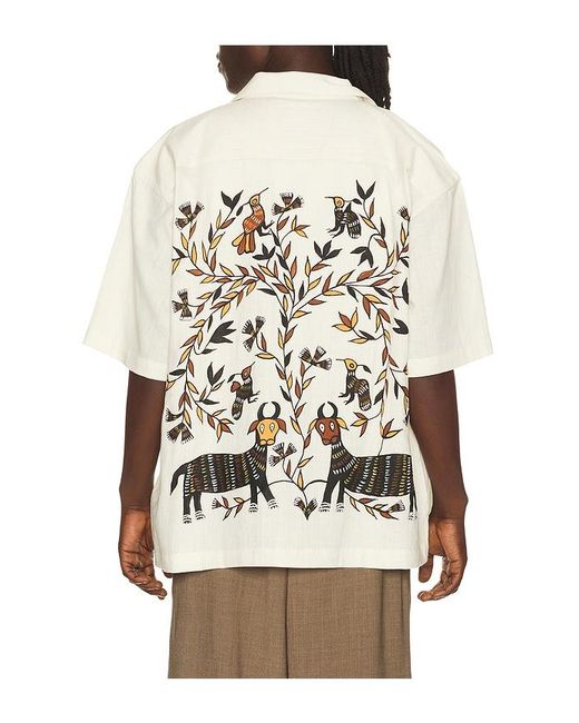 Kardo Natural Rohit Shirt for men