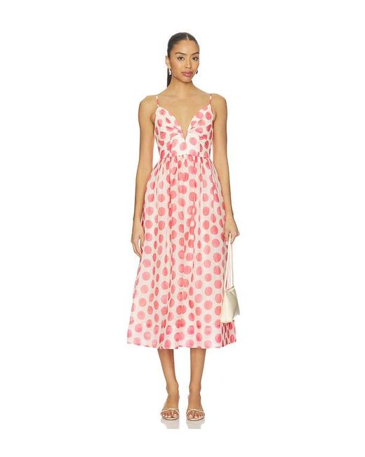 Cara Cara Pink Pero Midi Dress