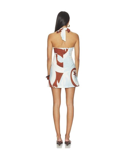 Seven Wonders Multicolor Rihanna Knot Halter Mini Dress