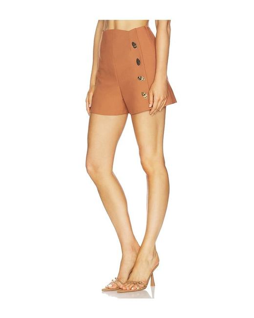 Alexis Multicolor Xander Shorts